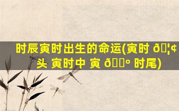 时辰寅时出生的命运(寅时 🦢 头 寅时中 寅 🌺 时尾)